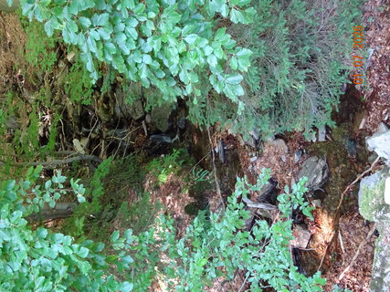 FOTKA - Od Labsk� boudy do �pindlerova Ml�na