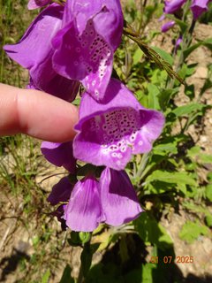 FOTKA - Od Labsk� boudy do �pindlerova Ml�na