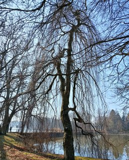 FOTKA - Z�mek �inkovy