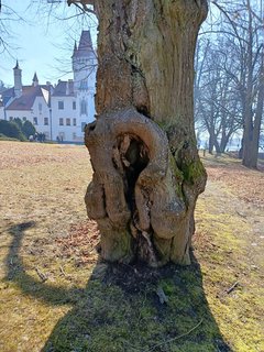 FOTKA - Z�mek �inkovy