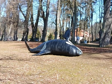 FOTKA - Z�mek �inkovy