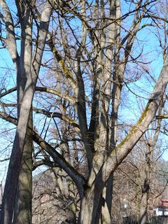 FOTKA - Z�mek �inkovy