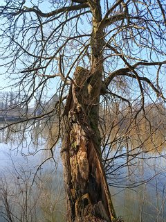 FOTKA - Z�mek �inkovy