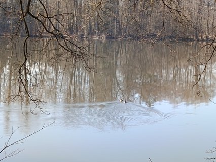 FOTKA - Z�mek �inkovy