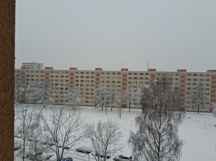 FOTKA - D�vod pro� klepu na popelnice