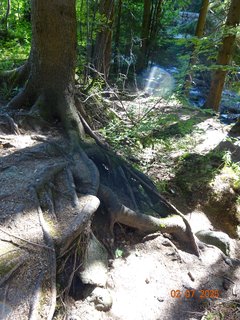 FOTKA - �dol�m B�l�ho Labe