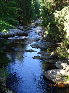 FOTKA - �dol�m B�l�ho Labe