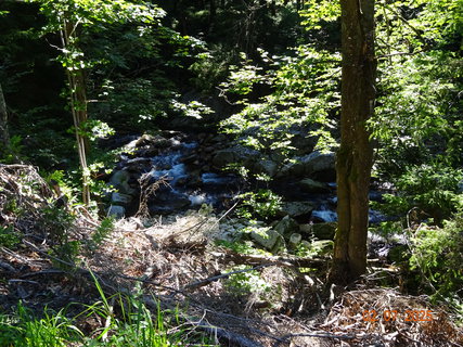 FOTKA - �dol�m B�l�ho Labe