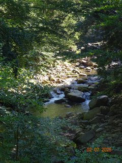 FOTKA - �dol�m B�l�ho Labe