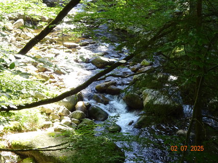 FOTKA - �dol�m B�l�ho Labe