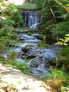 FOTKA - �dol�m B�l�ho Labe