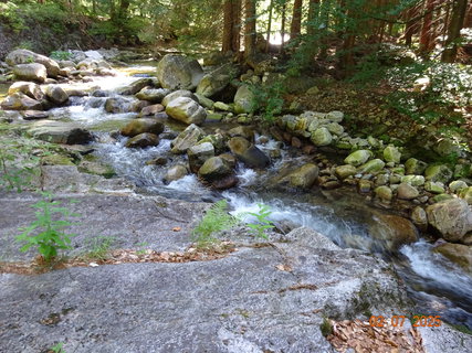 FOTKA - �dol�m B�l�ho Labe