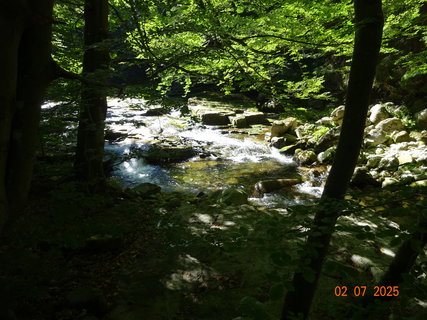 FOTKA - �dol�m B�l�ho Labe