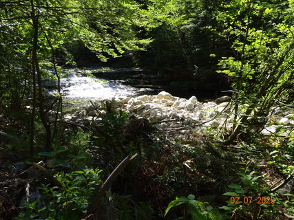 FOTKA - �dol�m B�l�ho Labe