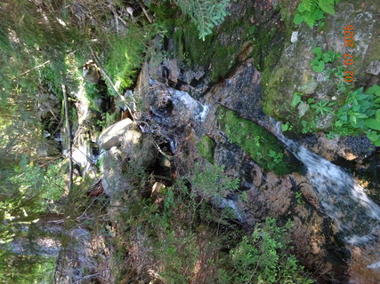 FOTKA - �dol�m B�l�ho Labe