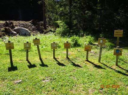 FOTKA - �dol�m B�l�ho Labe