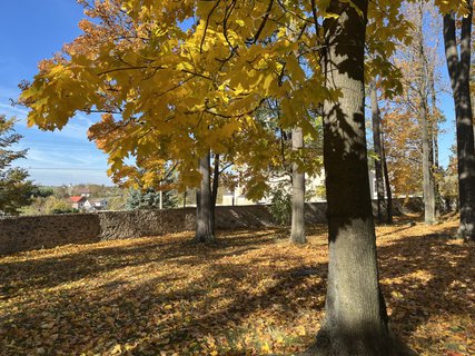 FOTKA - P�edhrad�