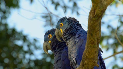 FOTKA - Unik�tn� dokumenty na Prima ZOOM pro 13. t�den