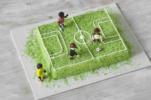 FOTKA - Krtk�v dort m� narozeniny. Slav� ji� 25 let