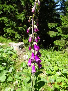 FOTKA - Od Boudy B�l� Labe do �pindlerova Ml�na