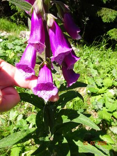 FOTKA - Od Boudy B�l� Labe do �pindlerova Ml�na