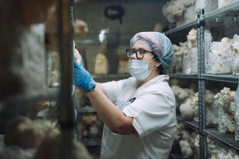 FOTKA - Od v�deck� st�e k evropsk� v�rob� vit�ln�ch hub SibiPharm