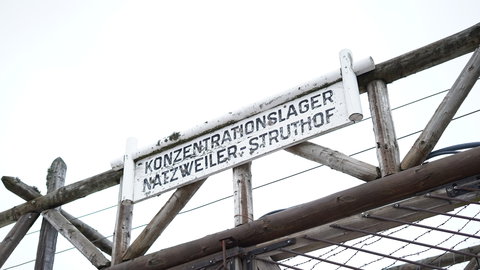 FOTKA - Unik�tn� dokumenty na Prima ZOOM pro 14. t�den