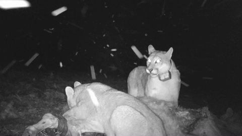 FOTKA - Unik�tn� dokumenty na Prima ZOOM pro 14. t�den