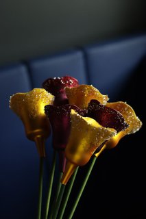 FOTKA - Hlavn� turistick� sezona na z�mku Lou�e�