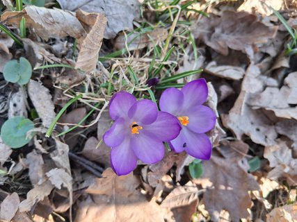 FOTKA - L�� se za��nat nem�