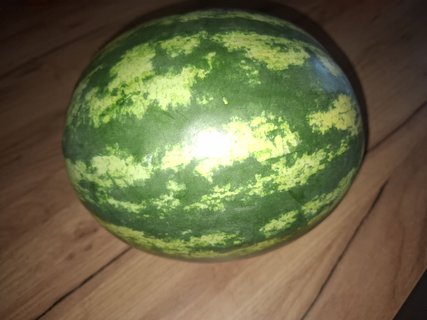 FOTKA - �erstvost nade v�e