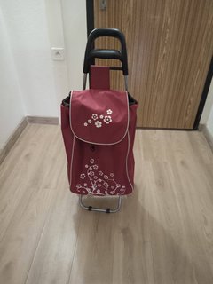 FOTKA - Jak se ta�ka stala celebritou