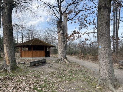 FOTKA - Ko�i�� hr�dek