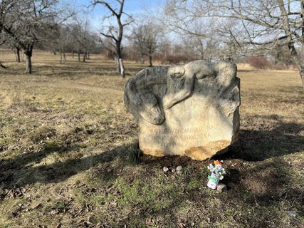 FOTKA - Ko�i�� hr�dek