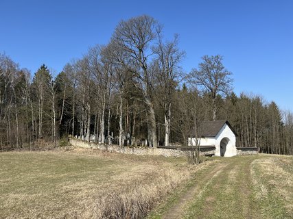 FOTKA - �idovsk� h�bitov v D�ev�kov�