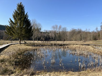 FOTKA - O�za klidu na b�val� st�elnici