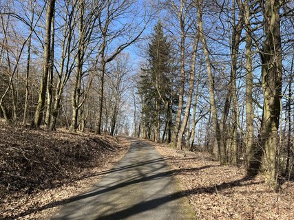 FOTKA - O�za klidu na b�val� st�elnici