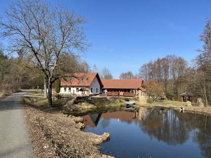 FOTKA - O�za klidu na b�val� st�elnici