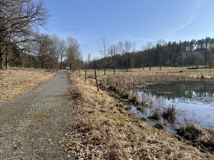 FOTKA - O�za klidu na b�val� st�elnici