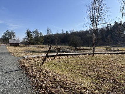 FOTKA - O�za klidu na b�val� st�elnici