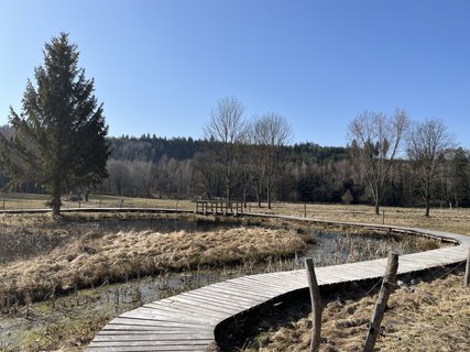 FOTKA - O�za klidu na b�val� st�elnici