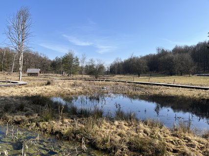 FOTKA - O�za klidu na b�val� st�elnici