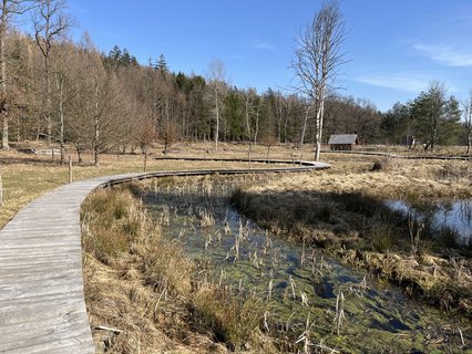 FOTKA - O�za klidu na b�val� st�elnici