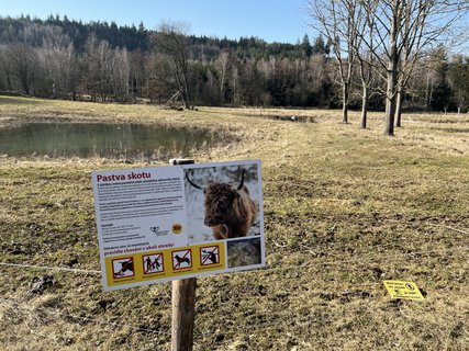 FOTKA - O�za klidu na b�val� st�elnici