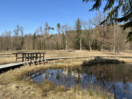 FOTKA - O�za klidu na b�val� st�elnici