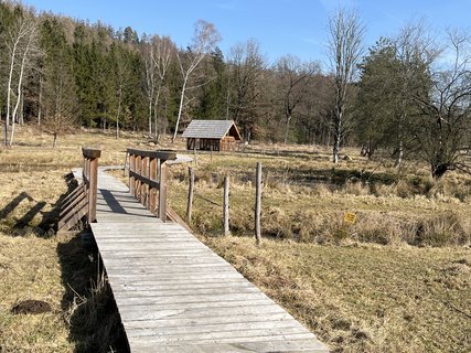 FOTKA - O�za klidu na b�val� st�elnici