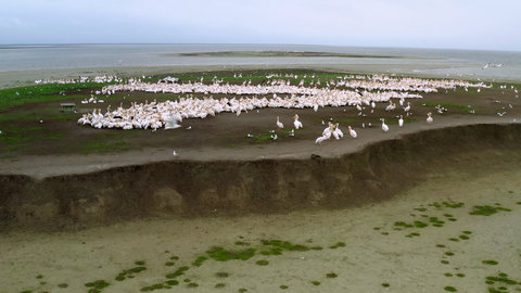 FOTKA - Unik�tn� dokumenty na Prima ZOOM pro 17. t�den