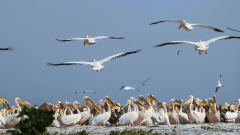 FOTKA - Unik�tn� dokumenty na Prima ZOOM pro 17. t�den