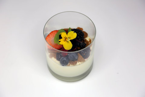 FOTKA - Prost�eno � 17. 4. 2026 � Jan