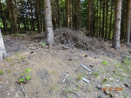 FOTKA - Kr�sa krkono�sk� p��rody